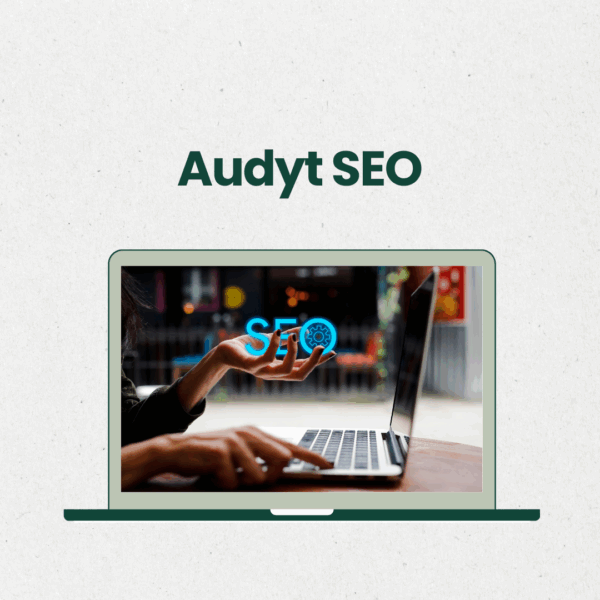 audyt seo